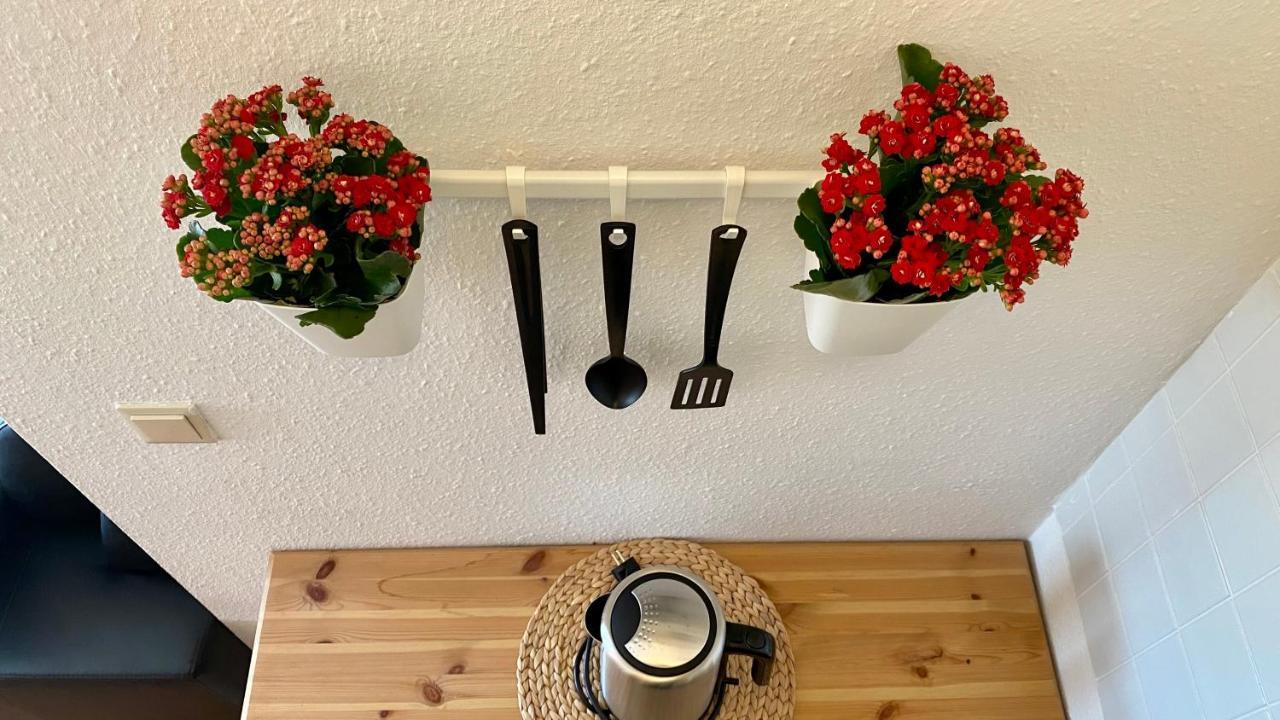 Ferienapartment Casa Heideblick Mit Sonnenterrasse & Garten Radeberg Εξωτερικό φωτογραφία